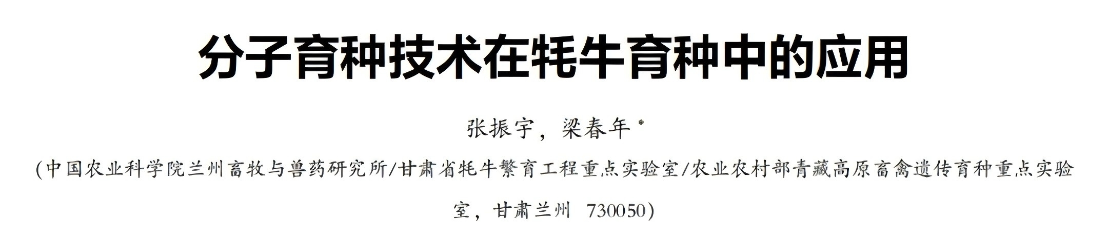 20241224142357255725