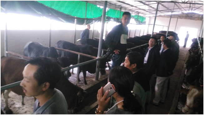 ��ҳ-NG��Ѷ�����˹ٷ���վ