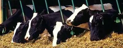 ��ҳ-NG��Ѷ�����˹ٷ���վ