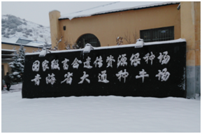 ��ҳ-NG��Ѷ�����˹ٷ���վ