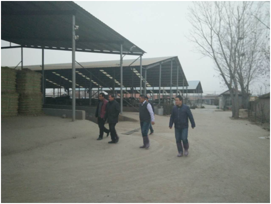 ��ҳ-NG��Ѷ�����˹ٷ���վ