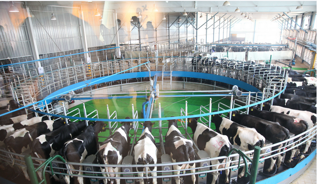 ��ҳ-NG��Ѷ�����˹ٷ���վ