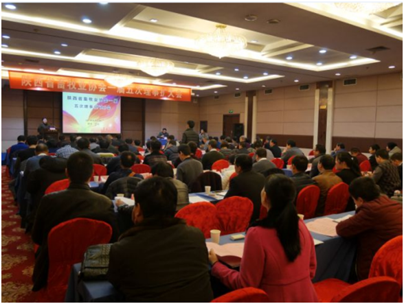 ��ҳ-NG��Ѷ�����˹ٷ���վ