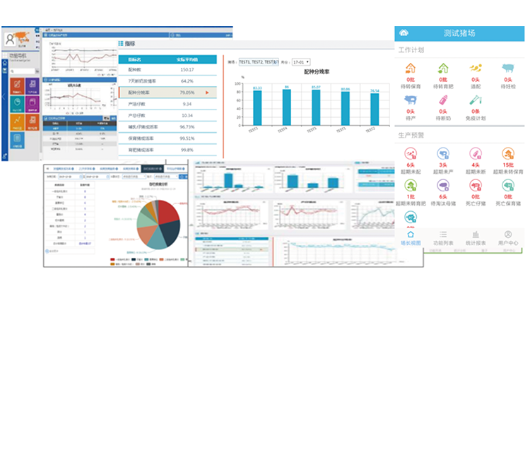 ��ҳ-NG��Ѷ�����˹ٷ���վ