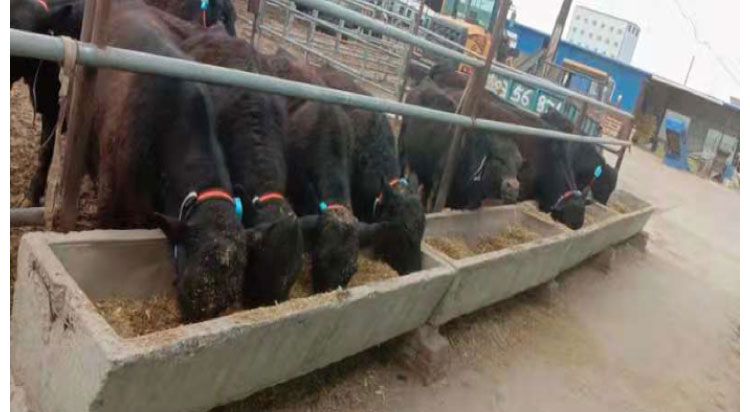 ��ҳ-NG��Ѷ�����˹ٷ���վ