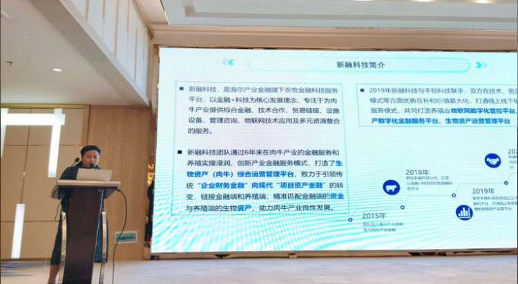 ��ҳ-NG��Ѷ�����˹ٷ���վ