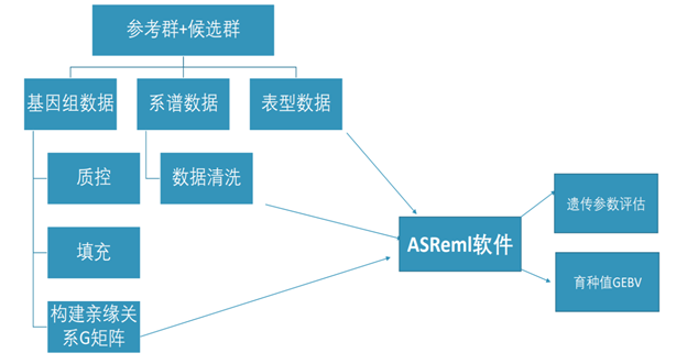 ��ҳ-NG��Ѷ�����˹ٷ���վ