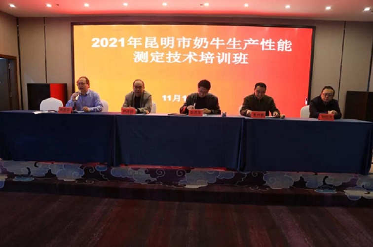 ��ҳ-NG��Ѷ�����˹ٷ���վ