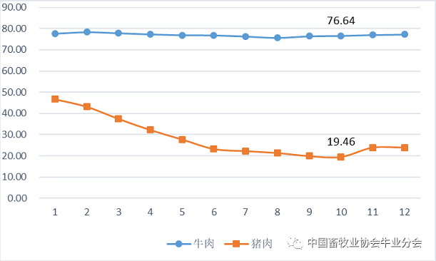 ��ҳ-NG��Ѷ�����˹ٷ���վ