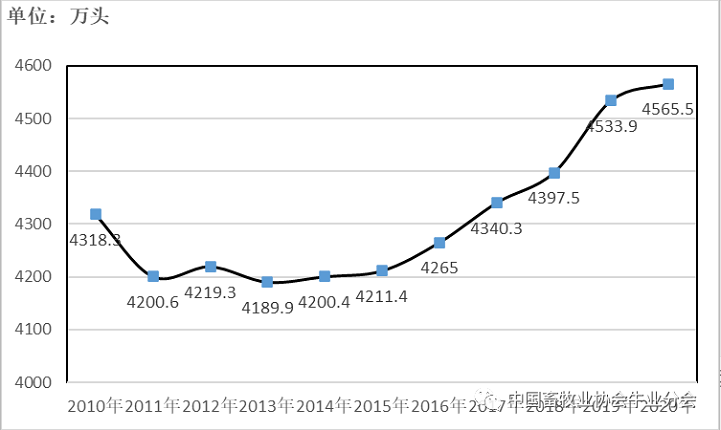 ��ҳ-NG��Ѷ�����˹ٷ���վ