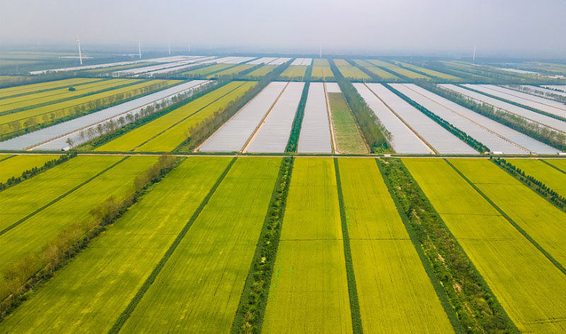 ��ҳ-NG��Ѷ�����˹ٷ���վ