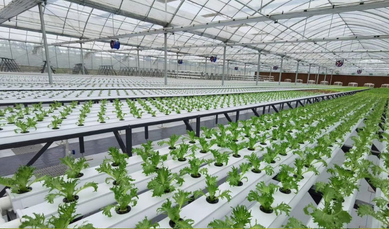 ��ҳ-NG��Ѷ�����˹ٷ���վ