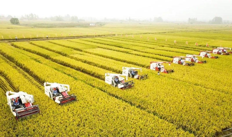 ��ҳ-NG��Ѷ�����˹ٷ���վ