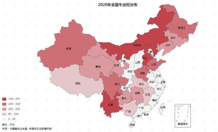 ��ҳ-NG��Ѷ�����˹ٷ���վ