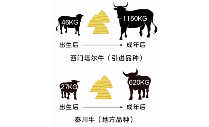 ��ҳ-NG��Ѷ�����˹ٷ���վ