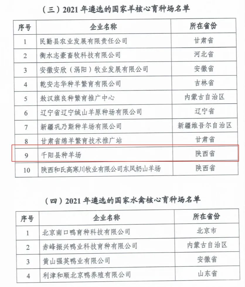 ��ҳ-NG��Ѷ�����˹ٷ���վ