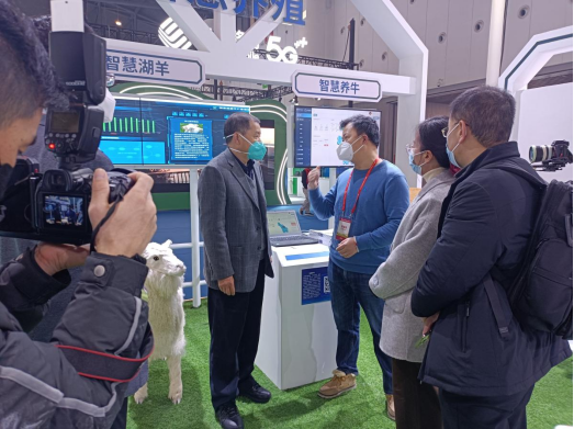 ��ҳ-NG��Ѷ�����˹ٷ���վ