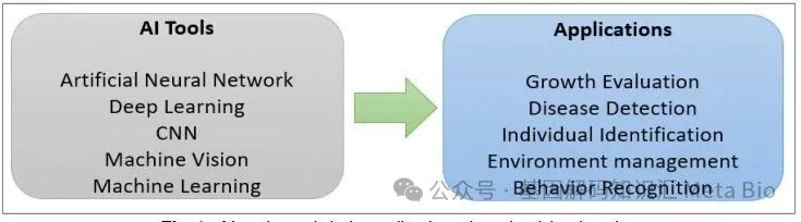 ��ҳ-NG��Ѷ�����˹ٷ���վ