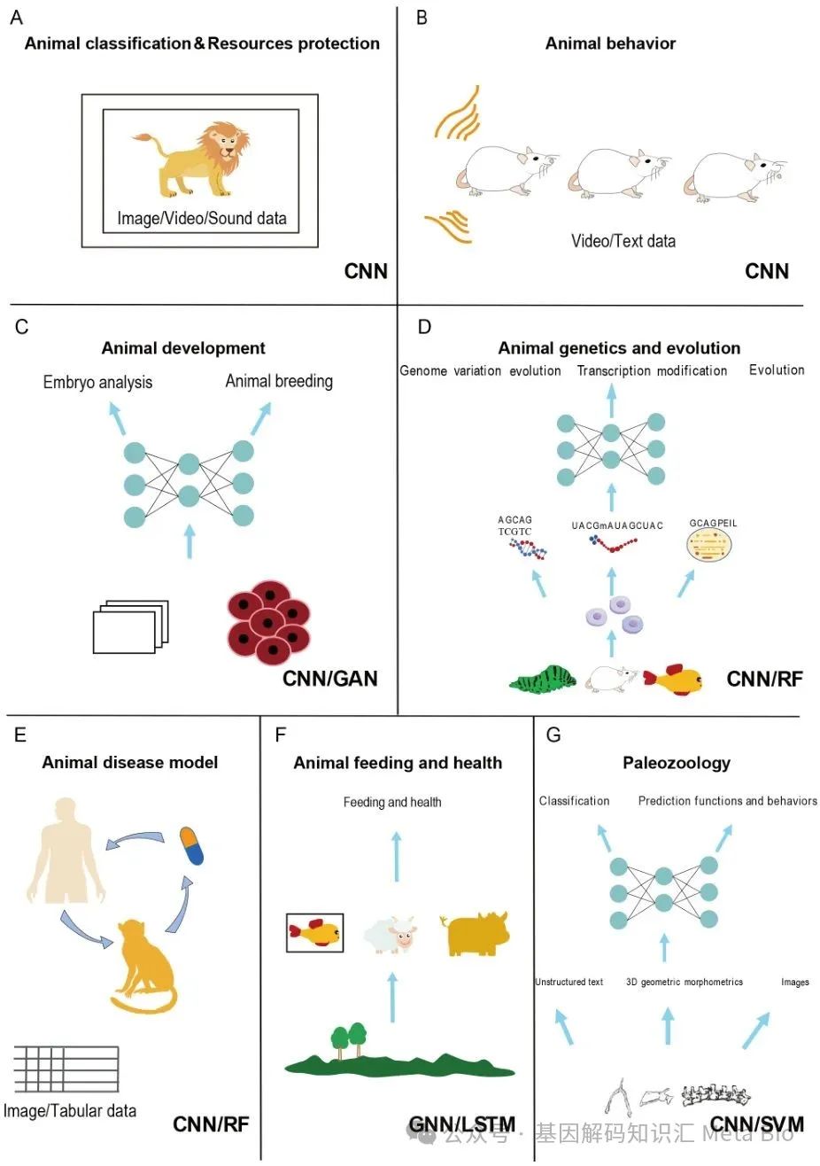 ��ҳ-NG��Ѷ�����˹ٷ���վ