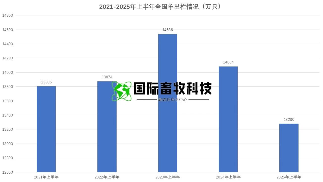 ��ҳ-NG��Ѷ�����˹ٷ���վ