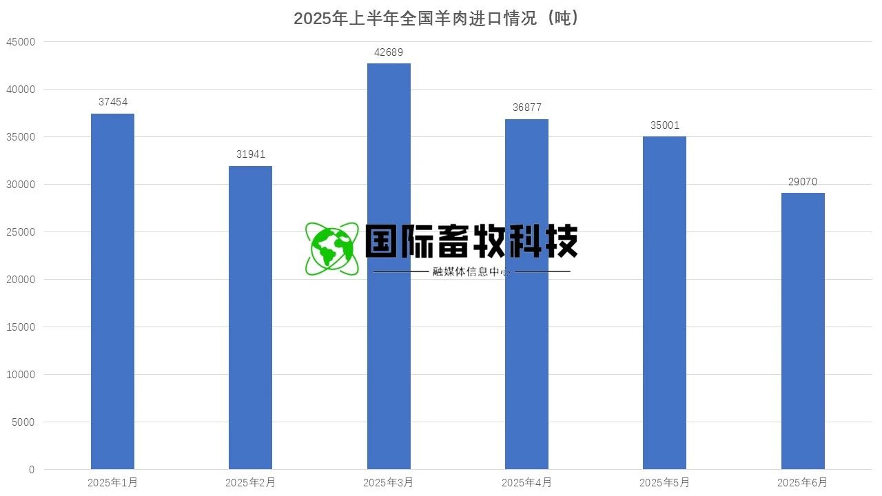 ��ҳ-NG��Ѷ�����˹ٷ���վ