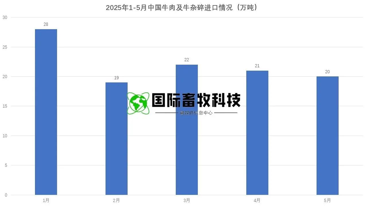 ��ҳ-NG��Ѷ�����˹ٷ���վ