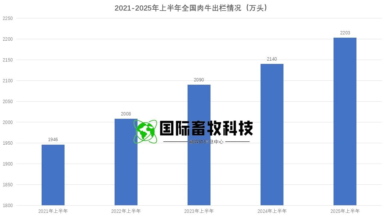 ��ҳ-NG��Ѷ�����˹ٷ���վ